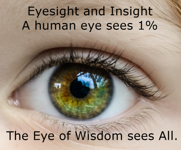 Eyesight and Insight
