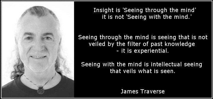 Insight2